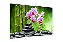 Obraz Bamboo Orchid Stones zs24801