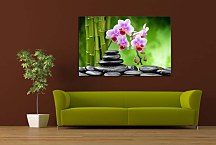 Obraz Bamboo Orchid Stones zs24801
