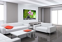 Obraz Bamboo Orchid Stones zs24801