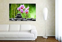 Obraz Bamboo Orchid Stones zs24801