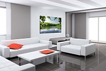 Obraz Biela labuť zs24768