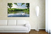 Obraz Biela labuť zs24768