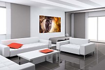 Obraz Budha zs24727