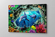 obraz dolphins sealife