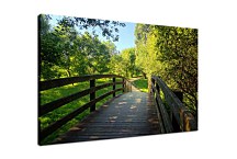 Obraz Drevený most v parku zs24780