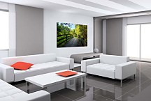 Obraz Drevený most v parku zs24780