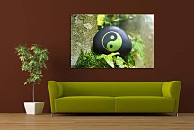 Obraz Feng shui background Yin Yang zs24788