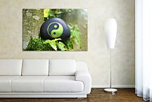 Obraz Feng shui background Yin Yang zs24788