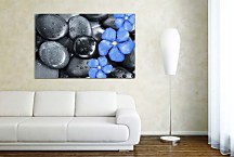 Obraz Flower Oleander and black pebbles zs24837