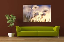 Obraz Flowers zs24789