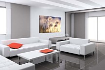 Obraz Flowers zs24789