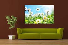 Obraz Flowers zs24839