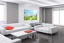 Obraz Flowers zs24839