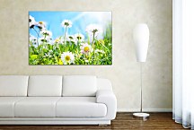 Obraz Flowers zs24839