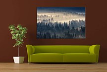 Obraz Hmla nad lesom zs29092