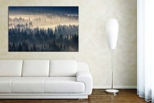 Obraz Hmla nad lesom zs29092