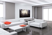 Obraz Hmla v lese  zs29099