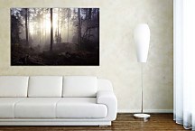 Obraz Hmla v lese  zs29099