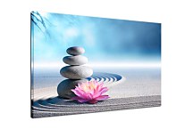 Obraz Kamene a Kvet v piesku zs24898