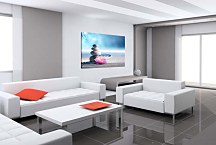 Obraz Kamene a Kvet v piesku zs24898