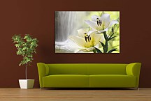 Obraz Kvet ľalia zs24718