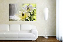 Obraz Kvet ľalia zs24718