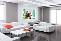 Obraz ľalia zs24717