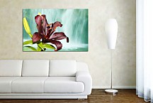 Obraz ľalia zs24717