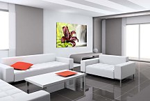 Obraz Lily zs24719