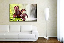 Obraz Lily zs24719