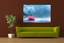 Obraz Lotosový kvet zs24894