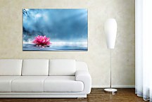 Obraz Lotosový kvet zs24894