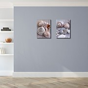 Mušle a kamienky - Obraz WDC44725