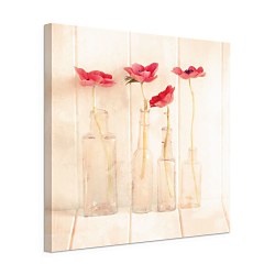 Anemones In Bottles - Obraz WDC23141