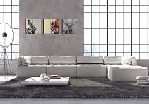 Bright Eyes - Obraz WDC95268