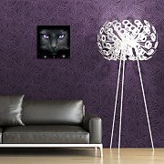 Spiral (Magical Cat) - Obraz WDC95064