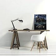 Harry Potter (Hogwarts School) - Obraz WDC94238