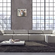 Looking Sheepish - Obraz WDC94258