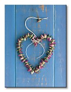 Boutons De Roses - Obraz WDC21564