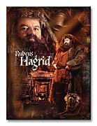 Harry Potter (Hagrid) - Obraz  WDC92244
