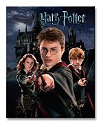 Harry Potter (Harry Ron Hermione) - Obraz  WDC94234
