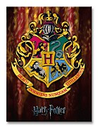 Harry Potter (Hogwarts Crest) - Obraz WDC92245