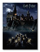 Harry Potter (Hogwarts School) - Obraz WDC90517