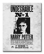 Harry Potter (Undesirable No.1) - Obraz WDC94233