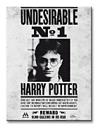 Harry Potter (Undesirable No.1) - Obraz WDC92235