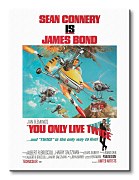 James Bond (You Only Live Twice - Little Nellie) - Obraz WDC92010