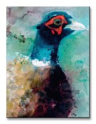 Male Pheasant - Obraz WDC92311