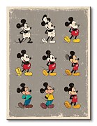 Mickey Mouse (Evolution) - Obraz WDC92455