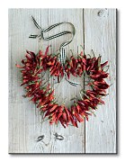 Picante II - Obraz WDC21565