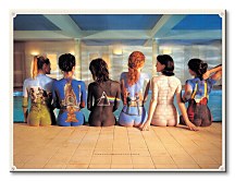 Pink Floyd (Back Catalogue) - Obraz WDC90002